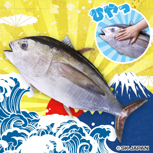 ひんやりマグロクッション プライズの情報サイト キャラとる