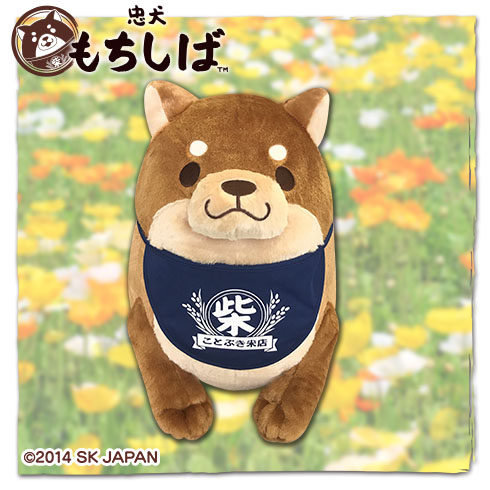 忠犬もちしばででーんと超BIGぬいぐるみ4 プライズの情報サイト