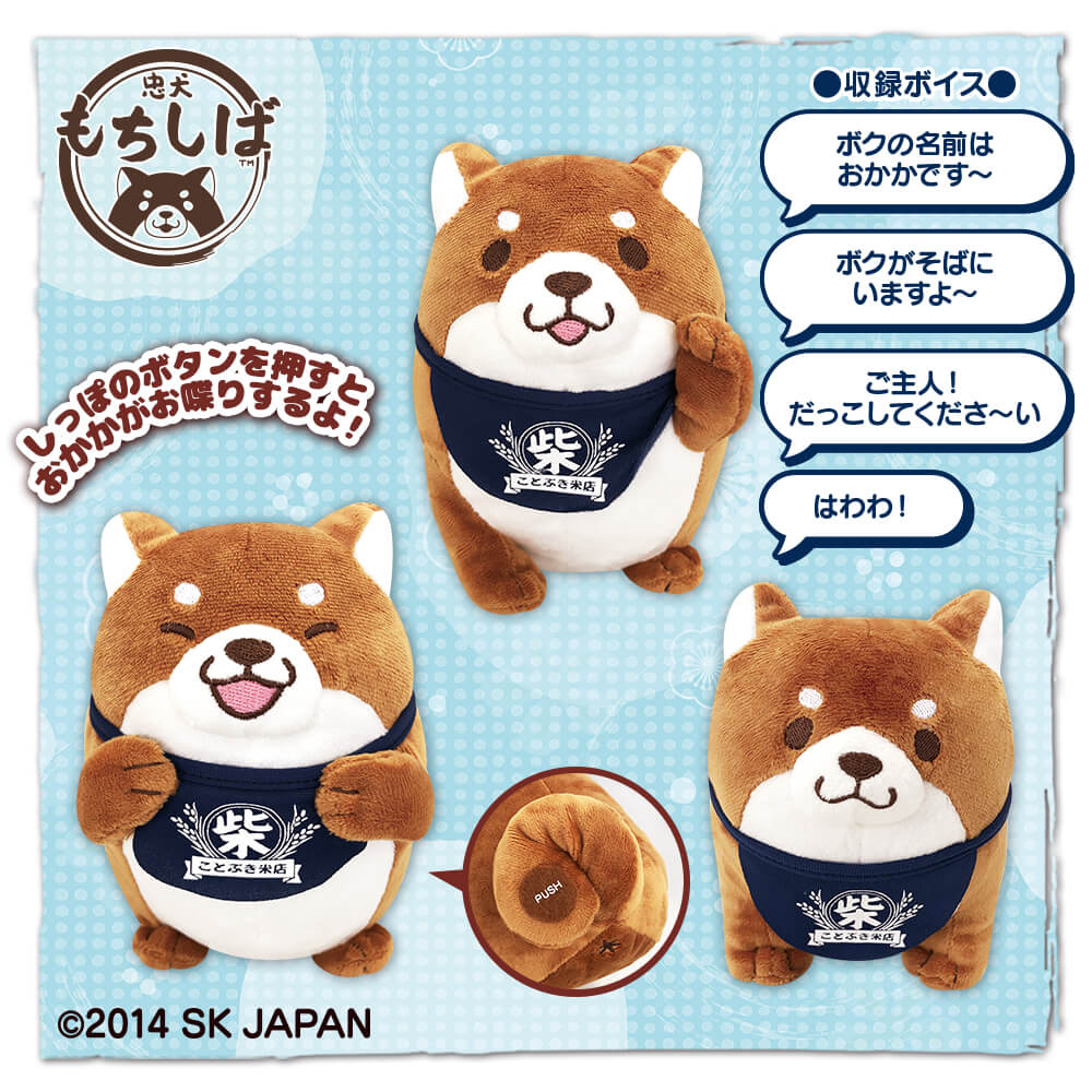 忠犬もちしば まぁーるいココロのそばに いつも エスケイジャパン